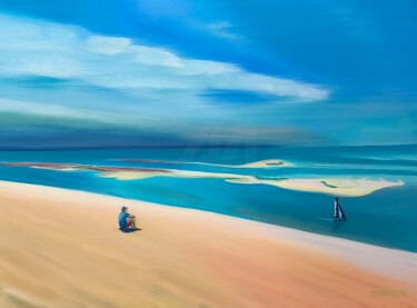 Regard sur le banc d'Arguin