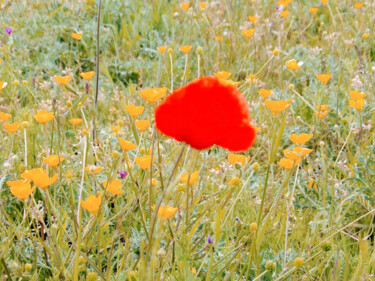 Artistic edit for colors of STEADY flowers in natural backgr 「Artistic edit for c…」というタイトルの写真撮影 Cédric Hajijiによって, オリジナルのアートワーク, デジタル