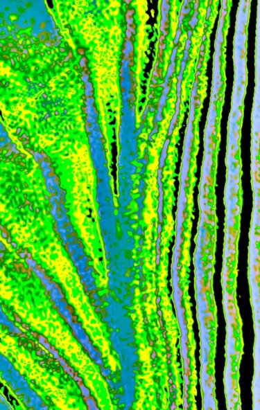 Ghost Forest 2b ( Oculus 217c-x2g) Photography titled "Ghost Forest 2b ( O…" by Ken Lerner, Original Artwork, Digital Photography