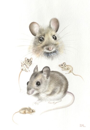 Peinture intitulée "Mulots" par Isabelle Molinard, Œuvre d'art originale, Aquarelle