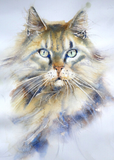 「Maine Coon」というタイトルの絵画 Muriel Mougeolleによって, オリジナルのアートワーク, 水彩画