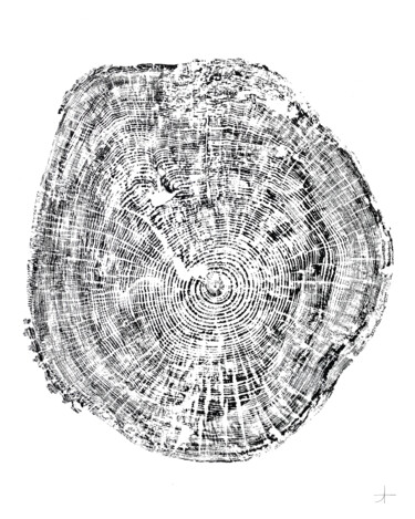Peuplier. 110 ans Printmaking titled "Peuplier. 110 ans" by Adrien Thivolle (l'âge des arbres), Original Artwork, Ink