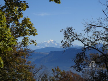 Le Mont Blanc entre les arbres Photographie intitulée "Le Mont Blanc entre…" par Jean-Michel Liewig, Œuvre d'art originale, Photographie non manipulée
