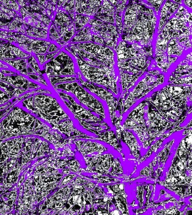 Photography titled "Snow on a Tree 1d" by Ken Lerner, Original Artwork, Digital Photography