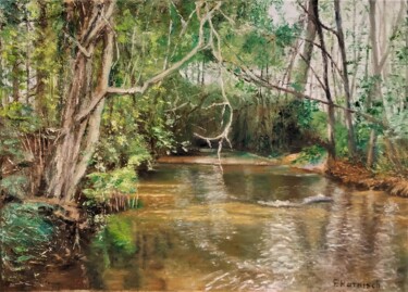 Peinture intitulée "Le courant d'Huchet" par Pascale Harnisch, Œuvre d'art originale, Huile