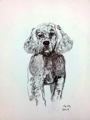 Dessin intitulée "Κουτάβι, σκίτσο" par Georgia Melanitou (G.M.), Œuvre d'art originale, Fusain