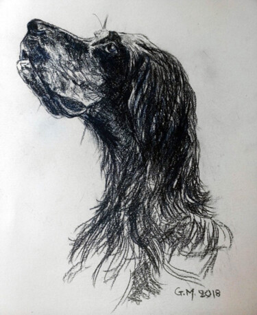 Dessin intitulée "Πορτρέτο 1" par Georgia Melanitou (G.M.), Œuvre d'art originale, Fusain