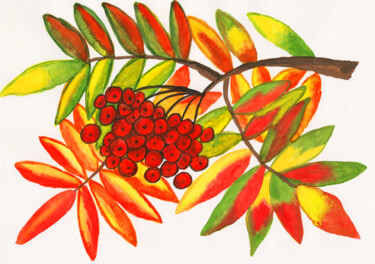 Painting titled "Branch with ash ber…" by Irina Afonskaya, Original Artwork, Watercolor