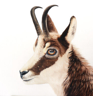 Painting titled "CHAMOIS" by Milie Lairie, Original Artwork, Oil Mounted on Wood Stretcher frame