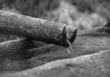 「Juste une fontaine」というタイトルの写真撮影 Paulo Vianaによって, オリジナルのアートワーク, デジタル