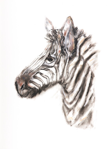 图画 标题为“zebra” 由Babett Landsberger, 原创艺术品, 粉彩