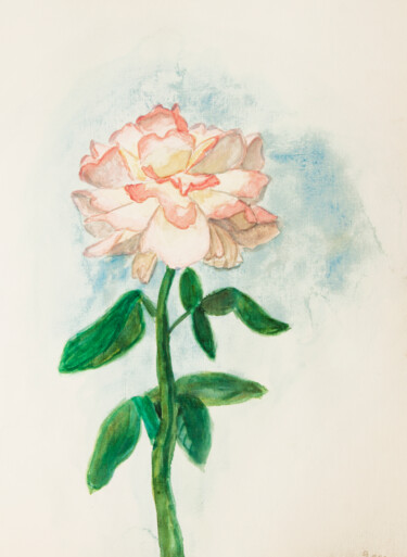 제목이 "Pink rose on white…"인 미술작품 Irina Afonskaya로, 원작, 수채화