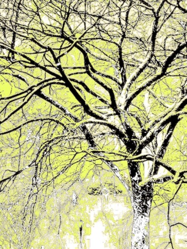 A Tree in Central Park 1b8 Photography titled "A Tree in Central P…" by Ken Lerner, Original Artwork, Digital Photography