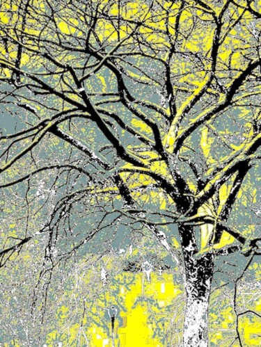 A Tree in Central Park 1a3 Photography titled "A Tree in Central P…" by Ken Lerner, Original Artwork, Digital Photography