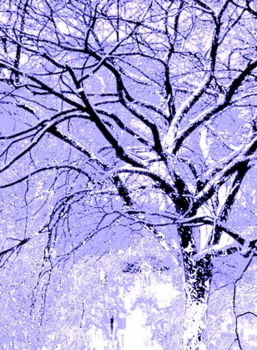 A Tree in Central Park 1b3 Photography titled "A Tree in Central P…" by Ken Lerner, Original Artwork, Digital Photography