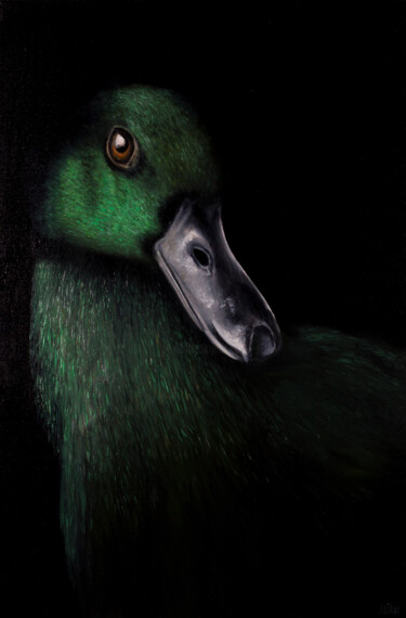 绘画 标题为“Wild duck” 由Svitlana Kalinina, 原创艺术品, 油
