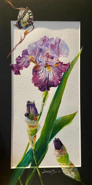 Iris 1-03-11-2021