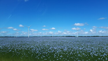 Fotografie mit dem Titel "Eoliennes en Bleu 02" von Catdicop, Original-Kunstwerk, Digitale Fotografie