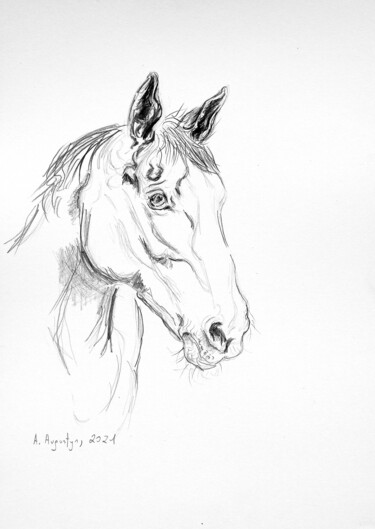 Chrapy Disegno intitolato "Chrapy" da Amelia Urszula Augustyn, Opera d'arte originale, Matita