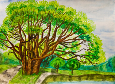 Painting titled "Willow tree in summ…" by Irina Afonskaya, Original Artwork, Watercolor