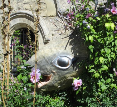 Têtes de hérissons utiles en nos jardins