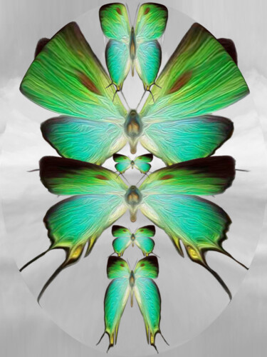 Digital Arts titled "Abanicos" by Roxana Ferllini, Original Artwork, Manipulated Photography
