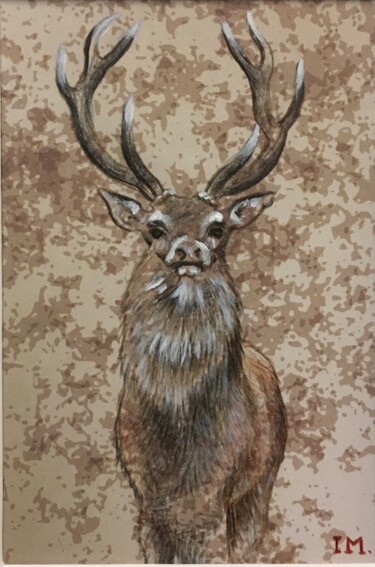 绘画 标题为“Cerf , petit 4” 由Isabelle Molinard, 原创艺术品, 铅笔