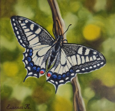 Peinture intitulée "Butterfly Mahaon" par Elena Kozyutenko, Œuvre d'art originale, Huile Monté sur Carton