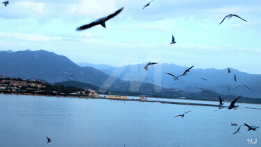Flock of birds around the boat Photographie intitulée "Flock of birds arou…" par Armajay, Œuvre d'art originale, Photographie numérique