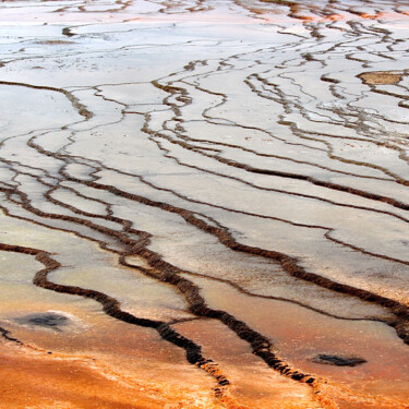 Photographie intitulée "L'eau d'or" par Magali Asselin, Œuvre d'art originale, Photographie numérique