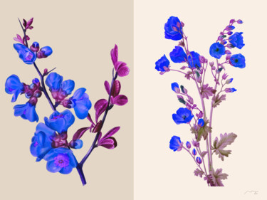 数字艺术 标题为“composition n34” 由Marco Victorino, 原创艺术品, 数字油画