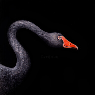 绘画 标题为“Black Swan” 由Svitlana Kalinina, 原创艺术品, 油