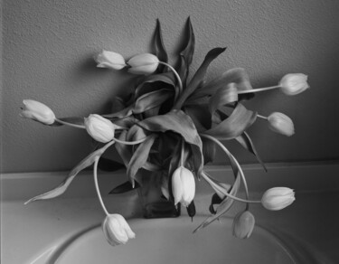 摄影 标题为“Tulips” 由Richard Eugene Puckett, 原创艺术品, 电影摄影