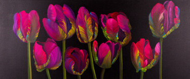 Painting titled "Tulips on black bac…" by Svitlana Kalinina, Original Artwork, Oil