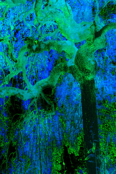 Photography titled "Variations en bleu" by Chupalia, Original Artwork, Digital Photography