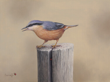 Une partie de cache cache ! sitelle torchepot Painting titled "Une partie de cache…" by Reza Sarrafi, Original Artwork, Oil
