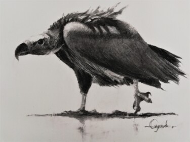 Dessin intitulée "Vautour" par Roland Guyomard, Œuvre d'art originale, Fusain