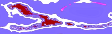 摄影 标题为“Snake 1a” 由Ken Lerner, 原创艺术品, 数码摄影