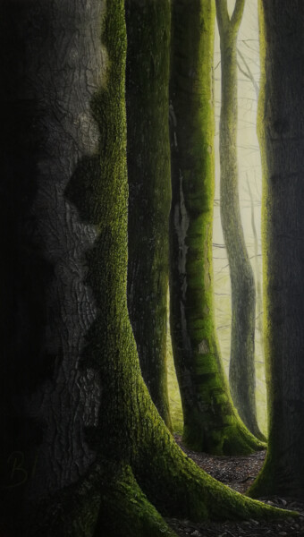 Oldest Trees Peinture intitulée "Oldest Trees" par Bekir İSlam, Œuvre d'art originale, Pigments Monté sur Châssis en bois