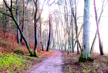 Fotografía titulada "November moods" por Barbara Przyborowska, Obra de arte original, Fotografía digital