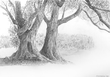 FORÊT -3 - pencil schetch Tekening getiteld "FORÊT -3 - pencil s…" door Franzart, Origineel Kunstwerk, Potlood