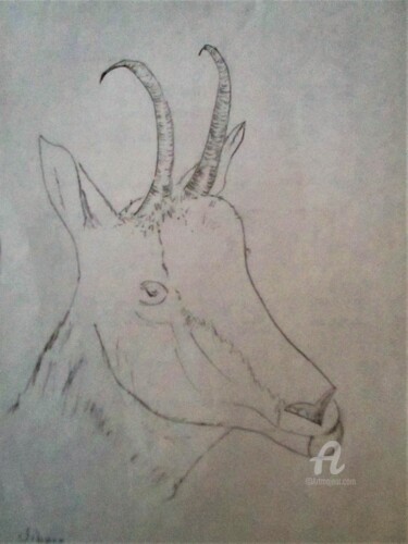 Drawing titled "La biche" by Roberto Urbano, Original Artwork, Pencil