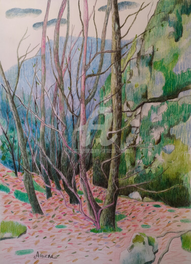 图画 标题为“un coin de forêt” 由Amena Nathan, 原创艺术品, 铅笔