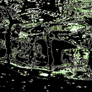 A Storm in Dali's Forest 1e6 摄影 标题为“A Storm in Dali's F…” 由Ken Lerner, 原创艺术品, 数码摄影