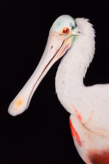 Spoonbill 绘画 标题为“Spoonbill” 由Svitlana Kalinina, 原创艺术品, 油