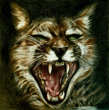 图画 标题为“Les crocs du cougar” 由Laurence Keriguy, 原创艺术品, 铅笔