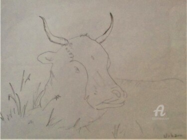 Drawing titled "Taureau" by Roberto Urbano, Original Artwork, Pencil
