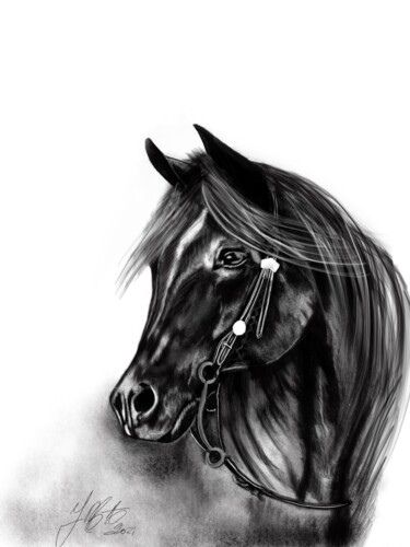 数字艺术 标题为“Cheval noir” 由Yvanne Matczak, 原创艺术品, 数字油画