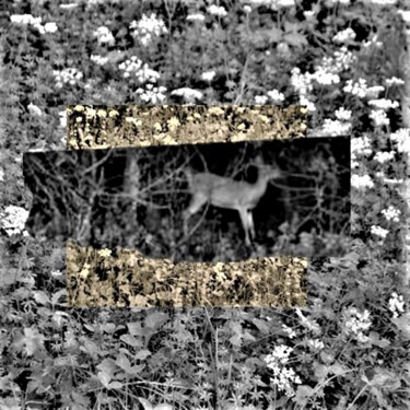 Arts numériques intitulée "Forêt, Forêt Verte…" par Nana Plamadeala-Kiritchenko, Œuvre d'art originale, Photo montage