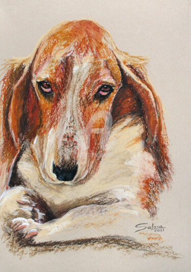图画 标题为“DOG I... BASSET HOU…” 由Svetlana Samovarova (SA.LANA), 原创艺术品, 粉彩